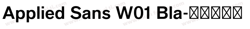 Applied Sans W01 Bla字体转换